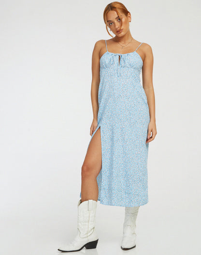 Cypress Midi Dress in Ditsy Rose Blue
